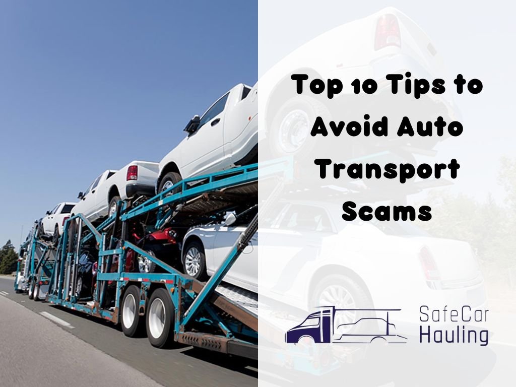 Top 10 Tips to Avoid Auto Transport Scams safecarhauling