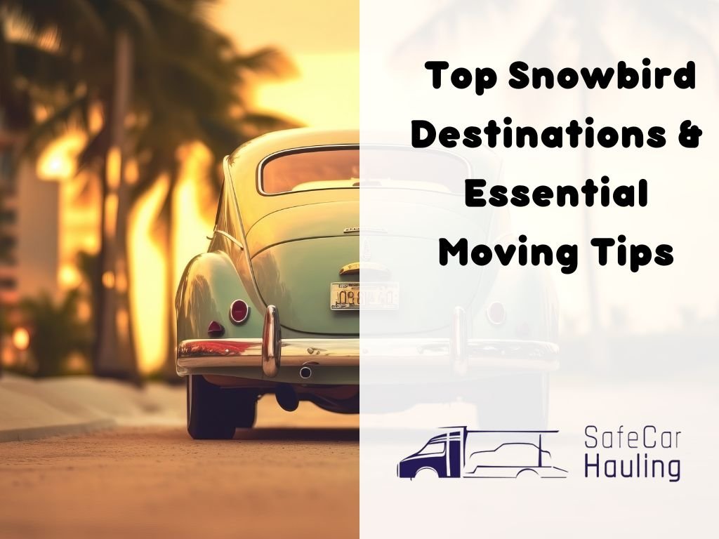 Discover Top Snowbird Destinations Essential Moving Tips safecarhauling