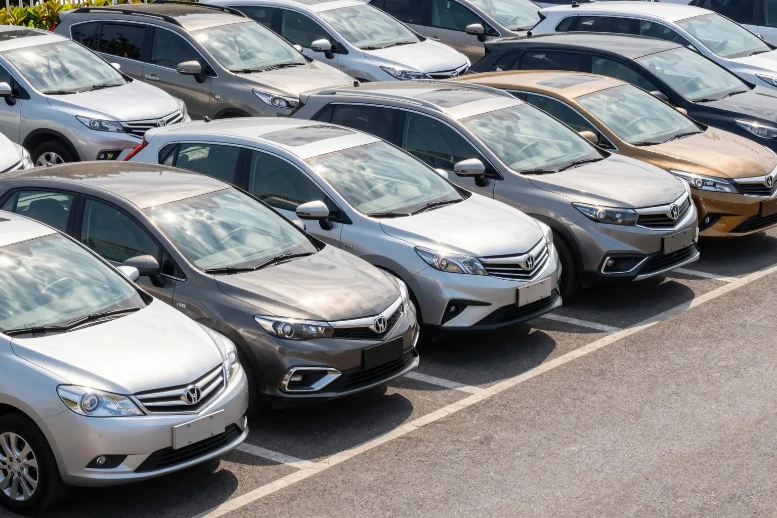 66e3c007b466891bcb8c882bf77f300a8afe0a6c6f54c04b68d03260e606c66f